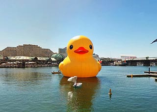 rubberduckicon